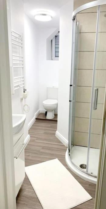 Central Studio Flat Bukares Bagian luar foto